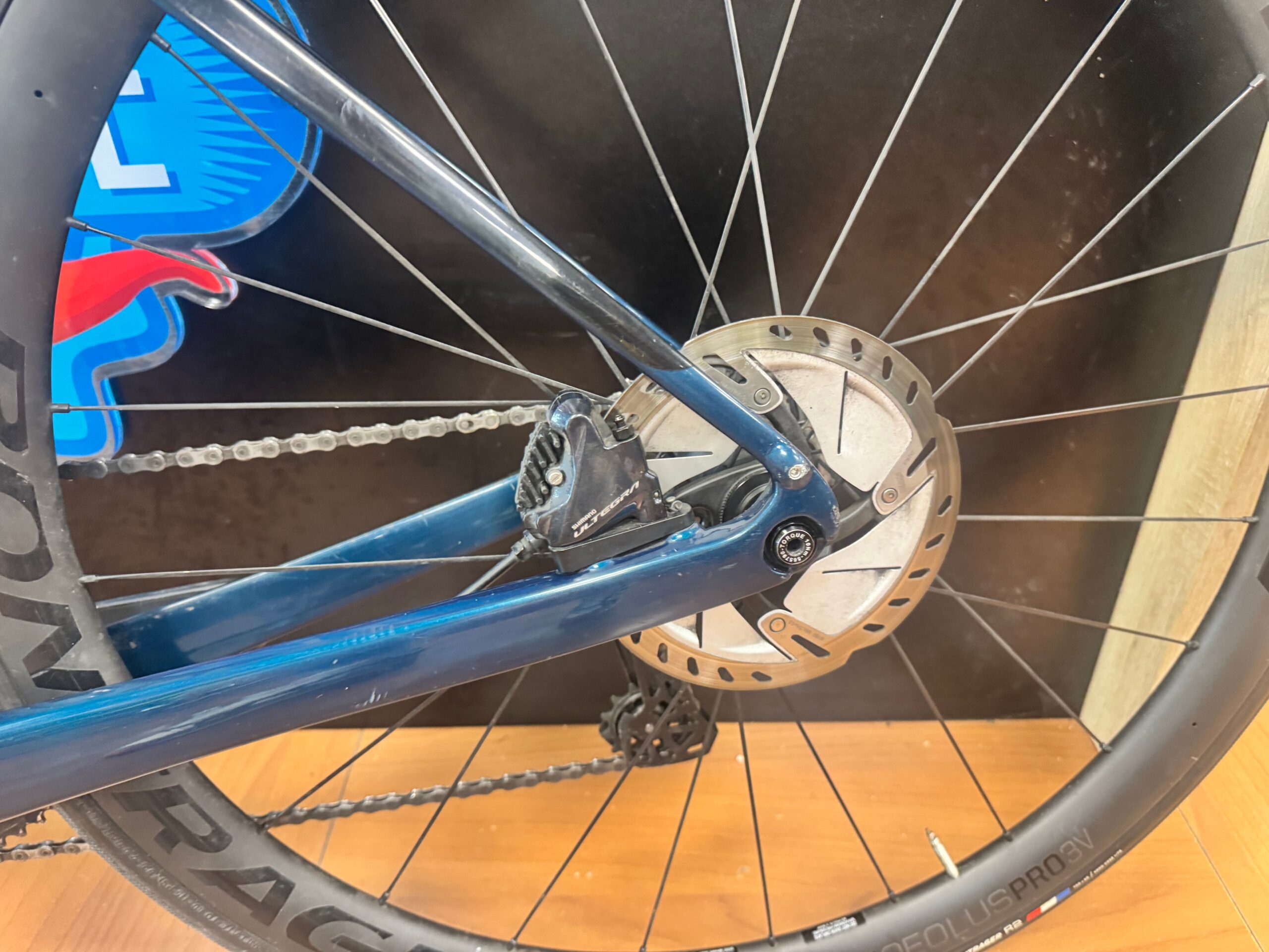 Bdc Trek Domane SL7 - Tg. 50