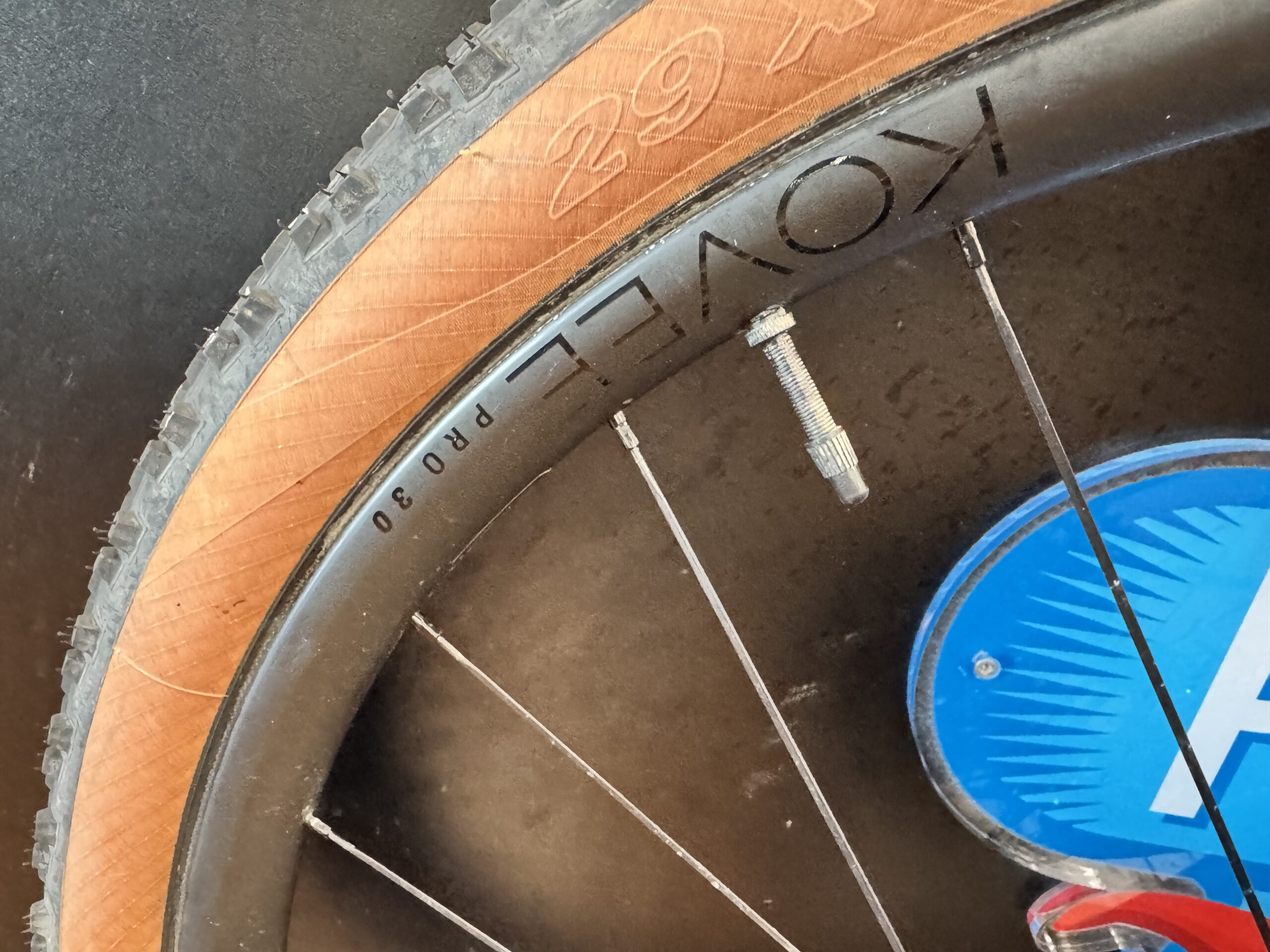 Mtb Procaliber 9.7 Upgrade - Tg. M - immagine 21